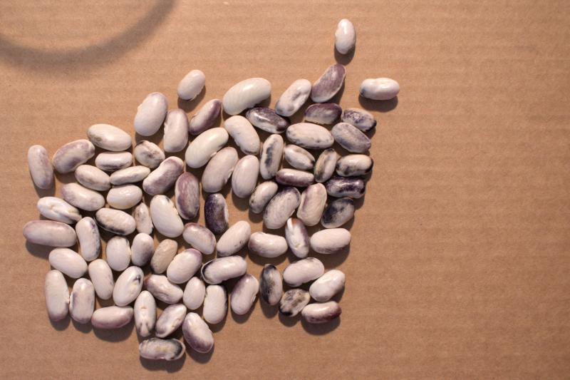 beans