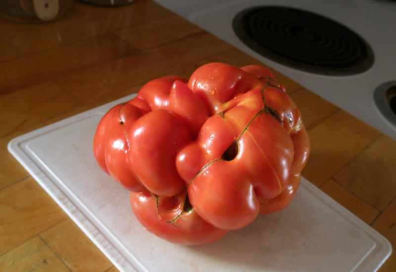 p8300007_Tomato_thm.jpg