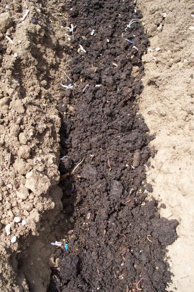 worms, soil